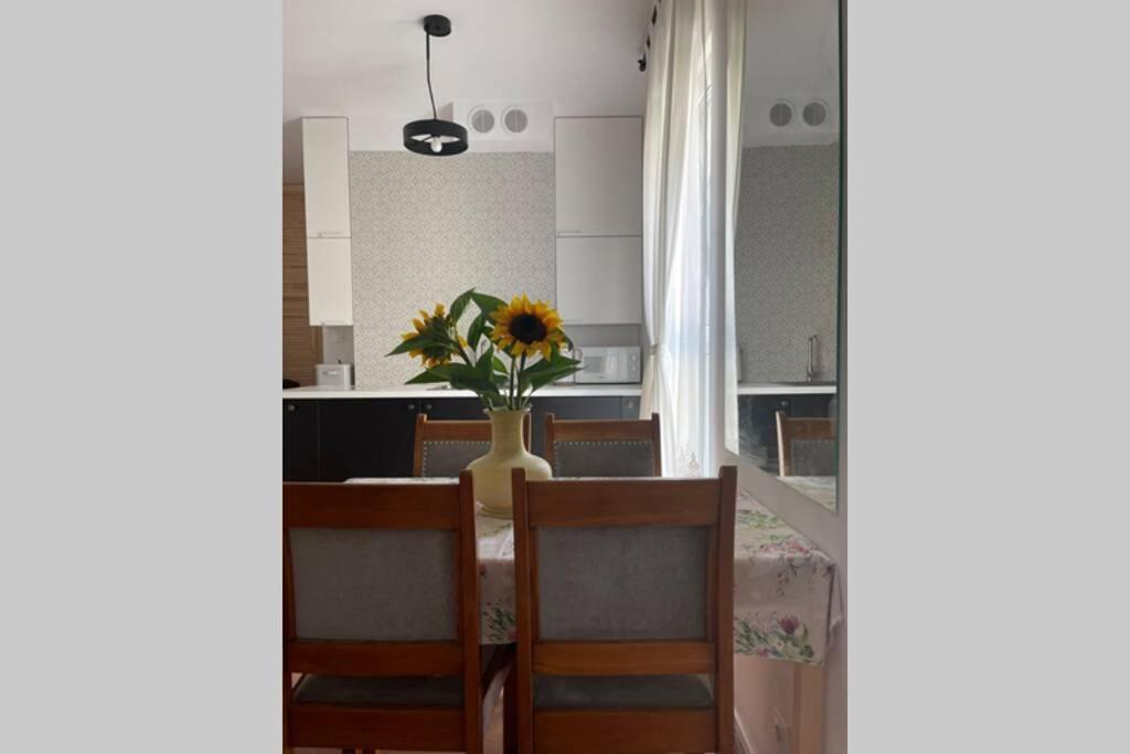 Apartament Seagull 30M2 Hel Buitenkant foto