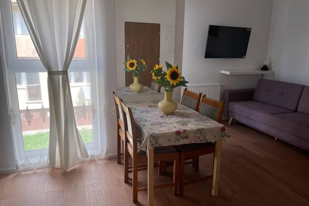 Apartament Seagull 30M2 Hel Buitenkant foto